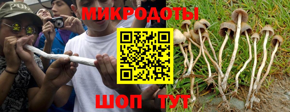 Галлюциногенные грибы Cubensis  Галлюциногенные грибы MAGIC MUSHROOMS  Вход с VPN  Тара 